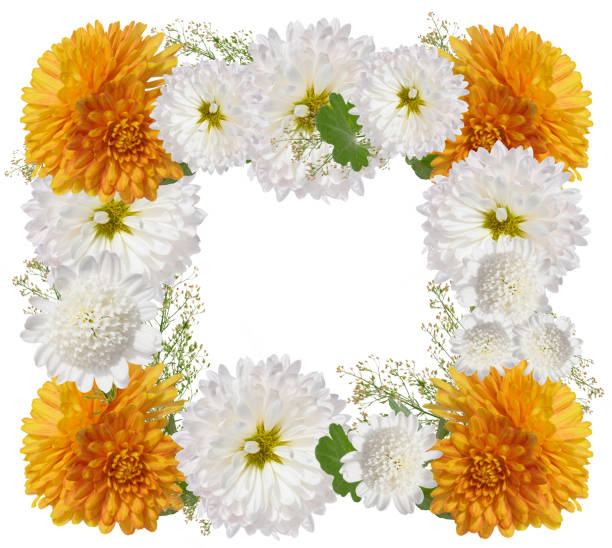 Abstract floral composition, background, holiday concept with flowers, spring and summer banner. Chamomile flowers, lilies and phlox on a sunny table, postcard with space for text. selective focus