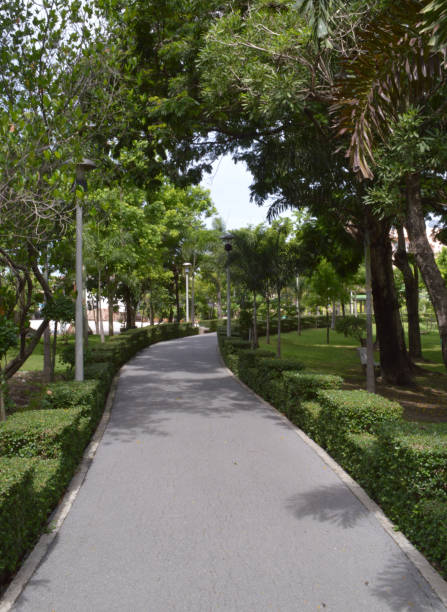 istock road in nature garden 2185028481
