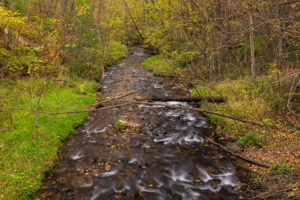 A creek with rapids in the woods during autumn.
