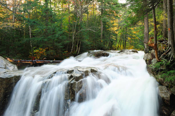 istock waterfall and stream in the forest valley 2185046718