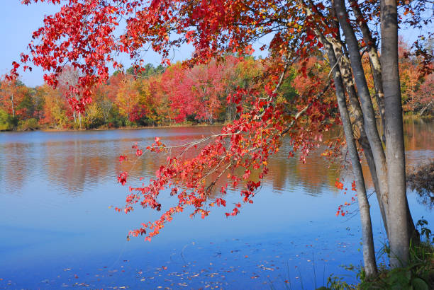 Washington is a town in Sullivan County, New Hampshire, United States