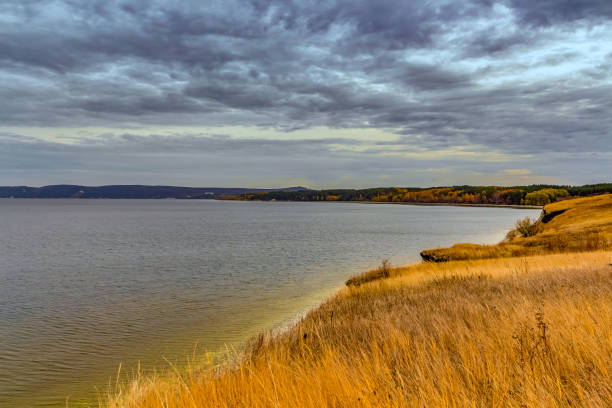 Riverside landscape on an overcast fall day.