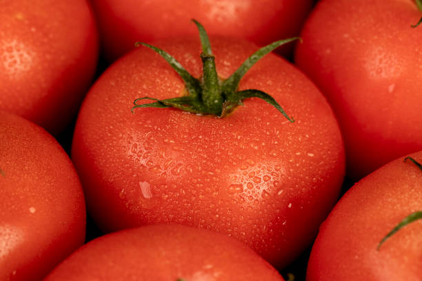 wet ripe red tomatoes on the table