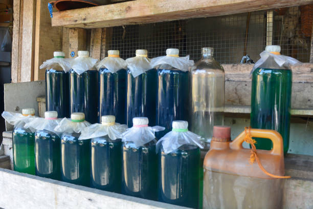 istock Gasoline sold in retail uses liter bottles. 2185053274