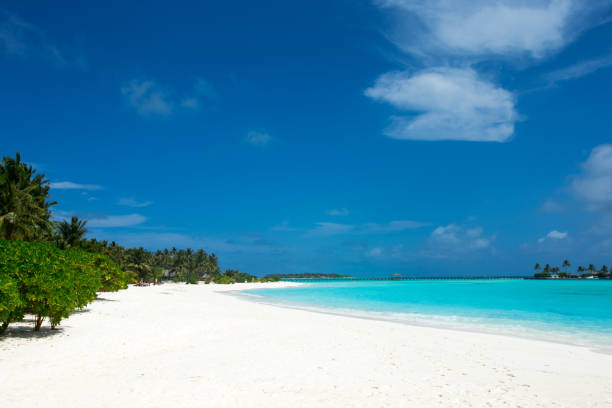 istock beach and tropical sea. beach landscape 2185053442