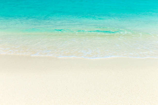 istock beach and tropical sea. beach landscape 2185053458