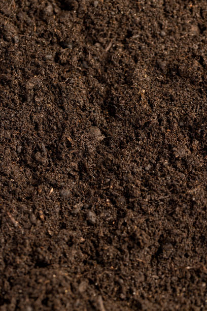 istock mixed soil with the addition of peat to increase fertility 2185053784