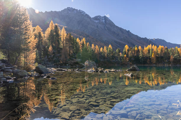 istock Golden Autumn Reflections by an Alpine Lake 2185054414