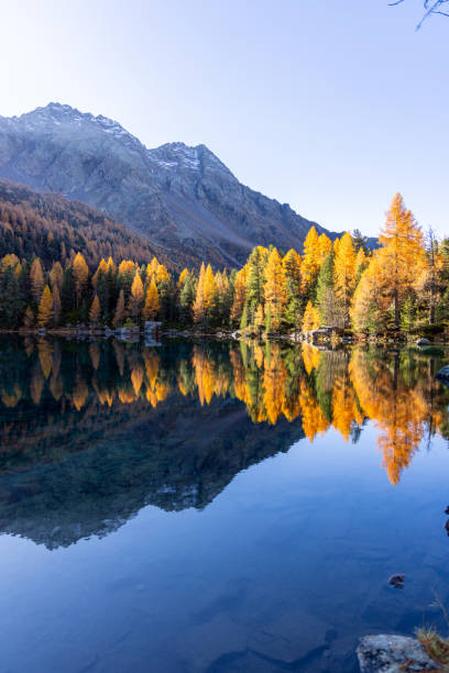 istock Golden Autumn Trees Reflecting in a Mountain Lake 2185054507