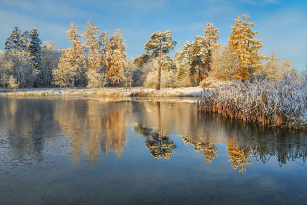 istock Reflections of snow covered trees in the lake. 2185055519