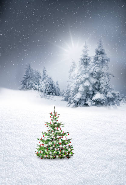 istock Christmas tree in the forest with snow 2185055839