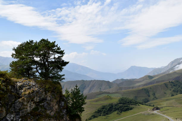 beautiful mountain summer landscape with rocks