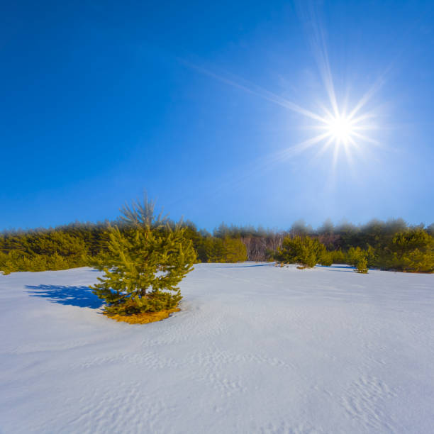 Winter weather
