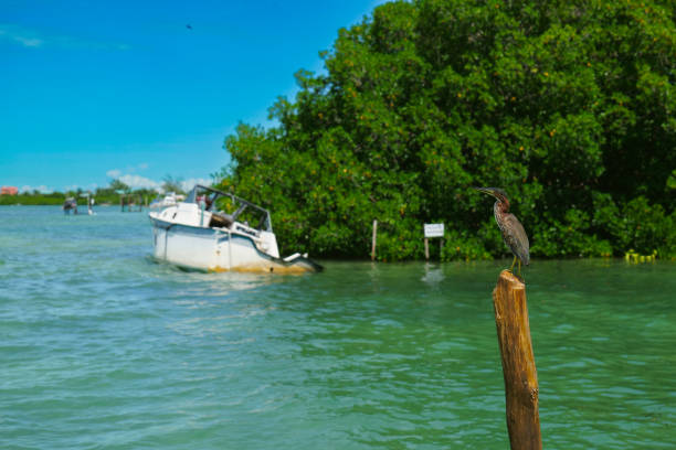 Caye Caulker, Belize, Central America
