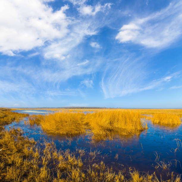 small calm blue lake among dry prairie under a cloudy sky