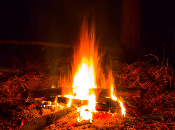 closeup outdoor camping campfire at the night
