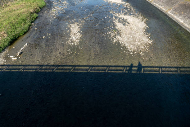 istock Shadow of people on the river 2185063392