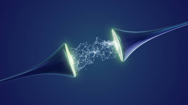 When electrical signals flow through neurons and synapses, they travel as \