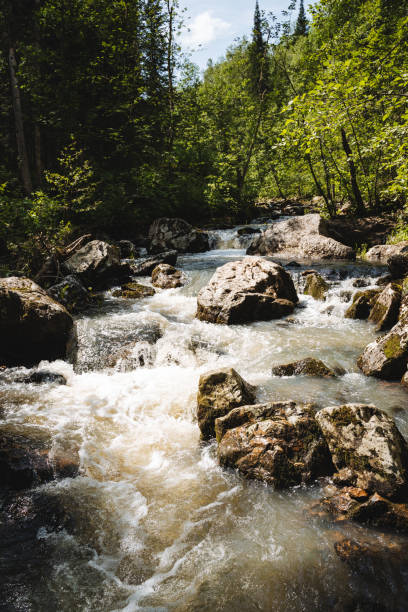 istock A serene river gracefully flows through a lush forest, accompanied by rocks, towering trees, creating a peaceful and stunning natural backdrop in a mountainous landscape under the sky 2185068801