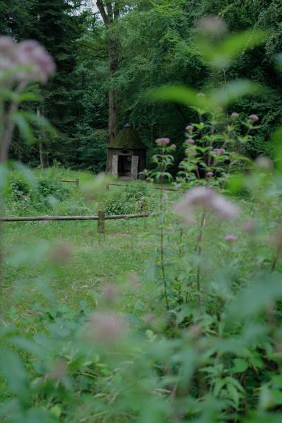 istock Small hut in woodland scene 2185069019