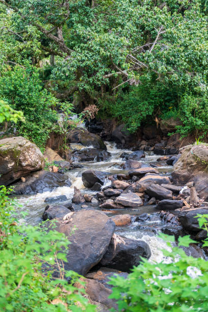 istock Near Africas rift valley 2185070122