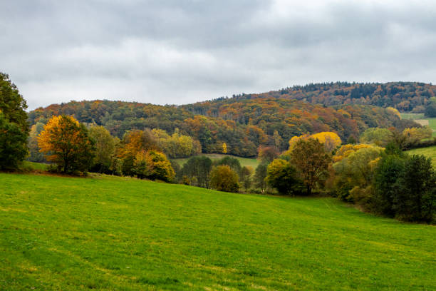 An autumn cycle tour through the Thuringian Forest on the Mommelstein cycle path between Schmalkalden and Brotterode - Thuringia - Germany