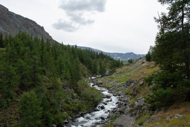 istock Mongolian Altai mountains, Twin Lakes, Forest 2185080405