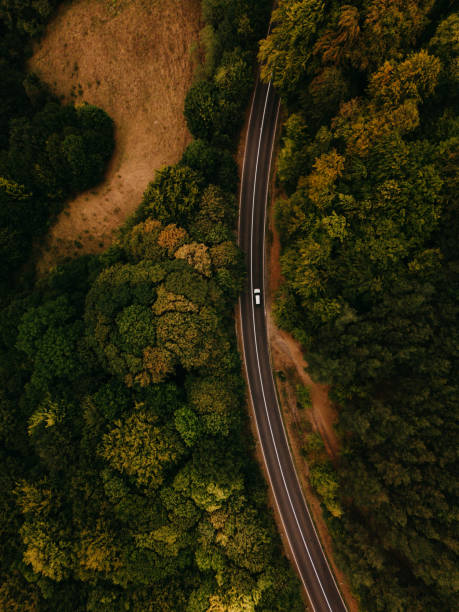 istock A Winding Road Meanders Through a Lush, Green Forest, Perfect for a Scenic Adventure 2185080821