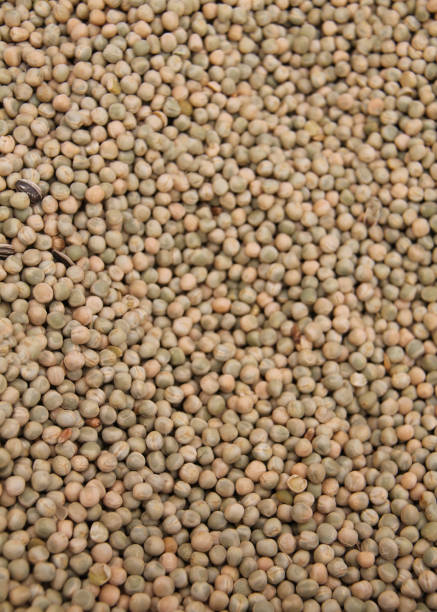 istock Image of Dried Peas. 2185081171