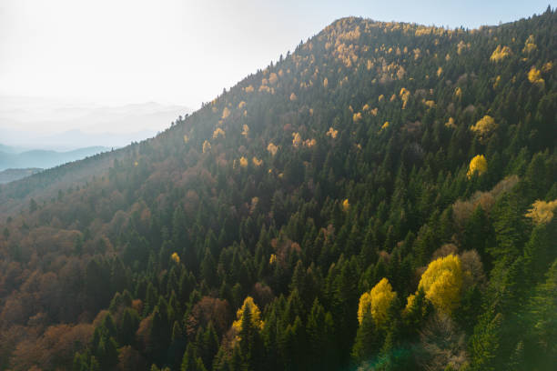 istock Mountain landscape in autumn 2185083658