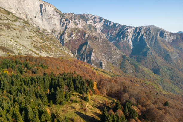 Photo of mountain top on beautiful day taken on Serbian mountain