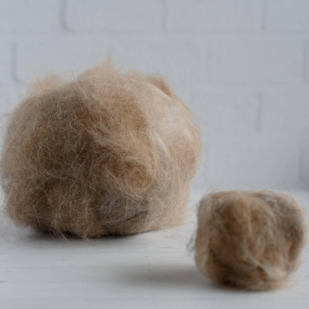 istock two lumps of cat hair 2185090328