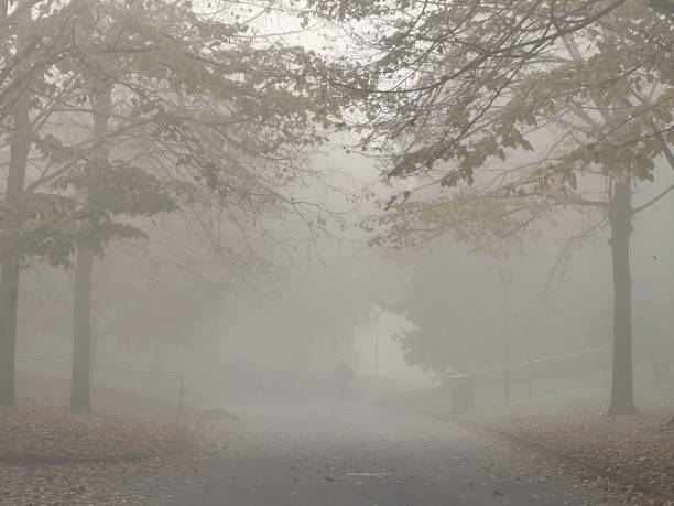 istock Cemetery park with Fog 2185093590