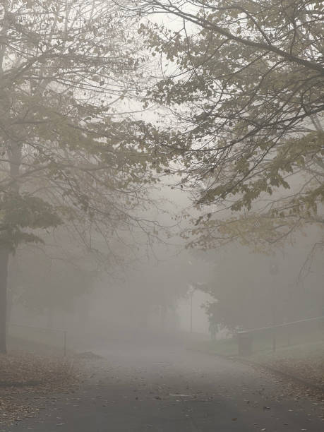 istock Cemetery park with Fog 2185093593