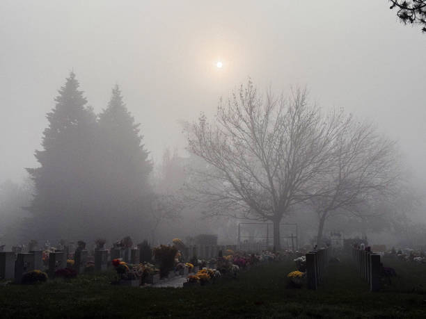 istock Cemetery park with Fog 2185093857
