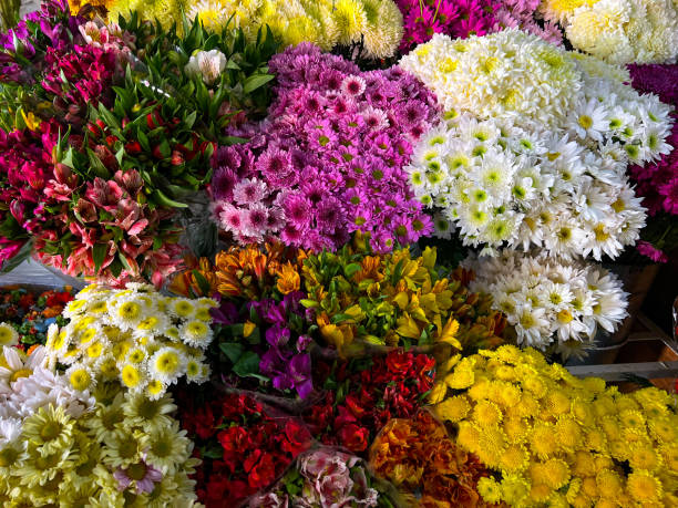istock Colorful flowers un a market 2185094799