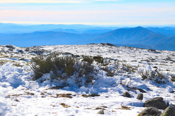istock Green vegetation emerging through white snow, with mountains in the background 2185097972