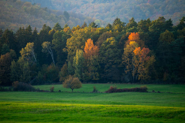 Autumnal landscape in the Black Forest. Nature with forests, hills and fields.