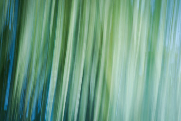 photography of motion blur abstract green texture background