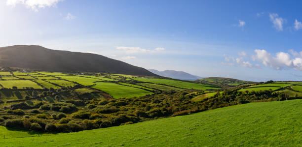 Dry stone walls in west coast of Ireland