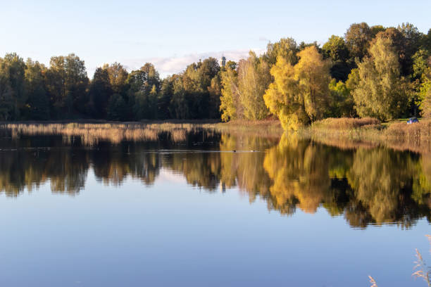 istock Lake View Surrounded by Autumn Trees 2185107233