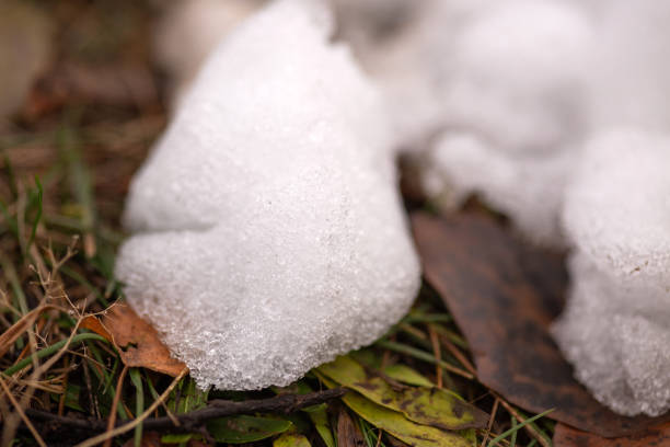 snow on the autumn grass