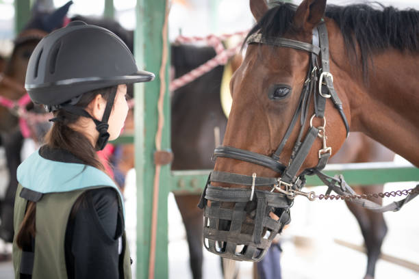 Horse and girl staring at each other