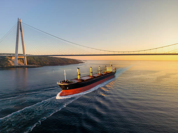 istock Aerial view of cargo ship and bosphorus Istanbul at sunset. 2185111367