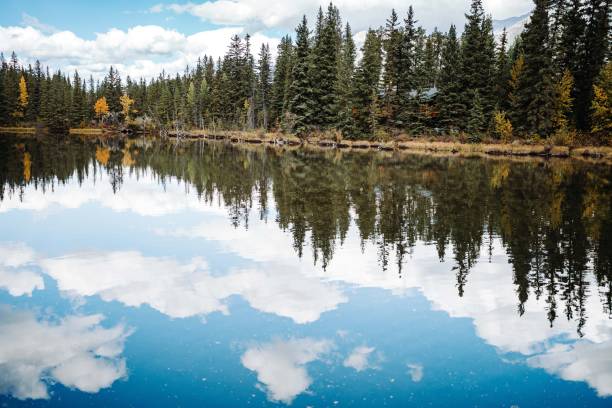 istock Evergreen reflection on tranquil lake in autumn. 2185112437