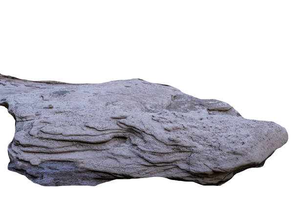 istock The trees.Rocks and Stone on the Mountain .Isolated on White background 2185114890