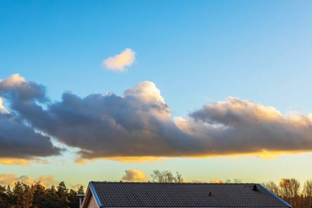 A bright, sunlit scene of a tiled red roof with a brick chimney, framed by soft green foliage. Open skylight glimpses and a blue sky with white clouds convey a calm, homey atmosphereâideal for architecture, housing, and outdoor lifestyle themes in Denmark.