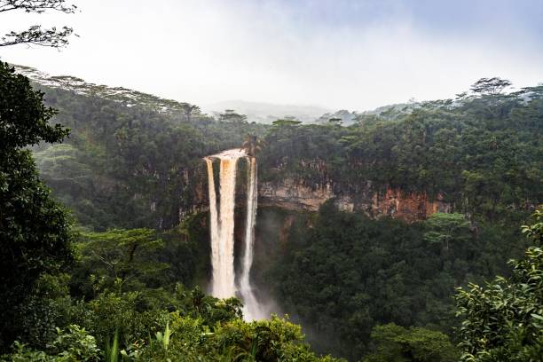 istock The Majestic Chamarel Waterfall Surrounded by Dense Tropical Forest in Mauritius 2185118397