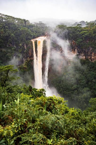 istock The Majestic Chamarel Waterfall Surrounded by Dense Tropical Forest in Mauritius 2185118398