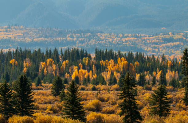 istock Scenic Autumn Landscape in the Tetons 2185122427
